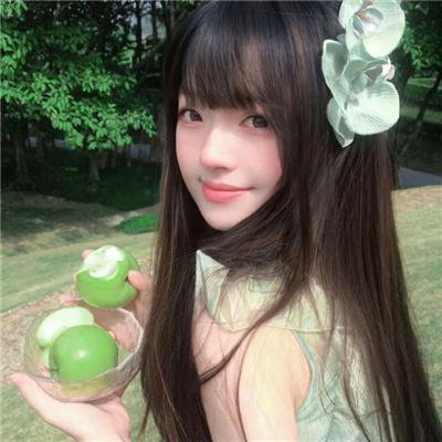 第四议定书