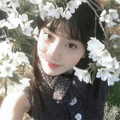 代号十三钗